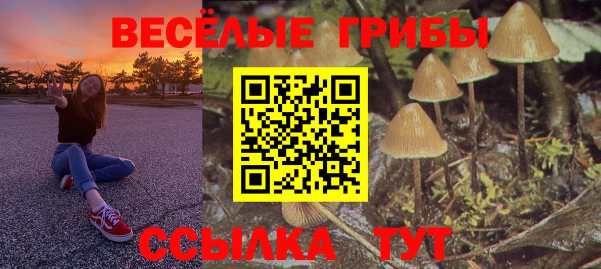 Псилоцибиновые грибы MAGIC MUSHROOMS  Артёмовский 