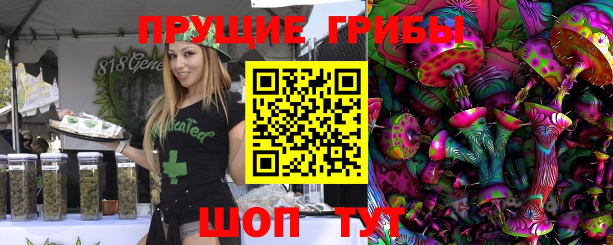 Галлюциногенные грибы мухоморы Артёмовский